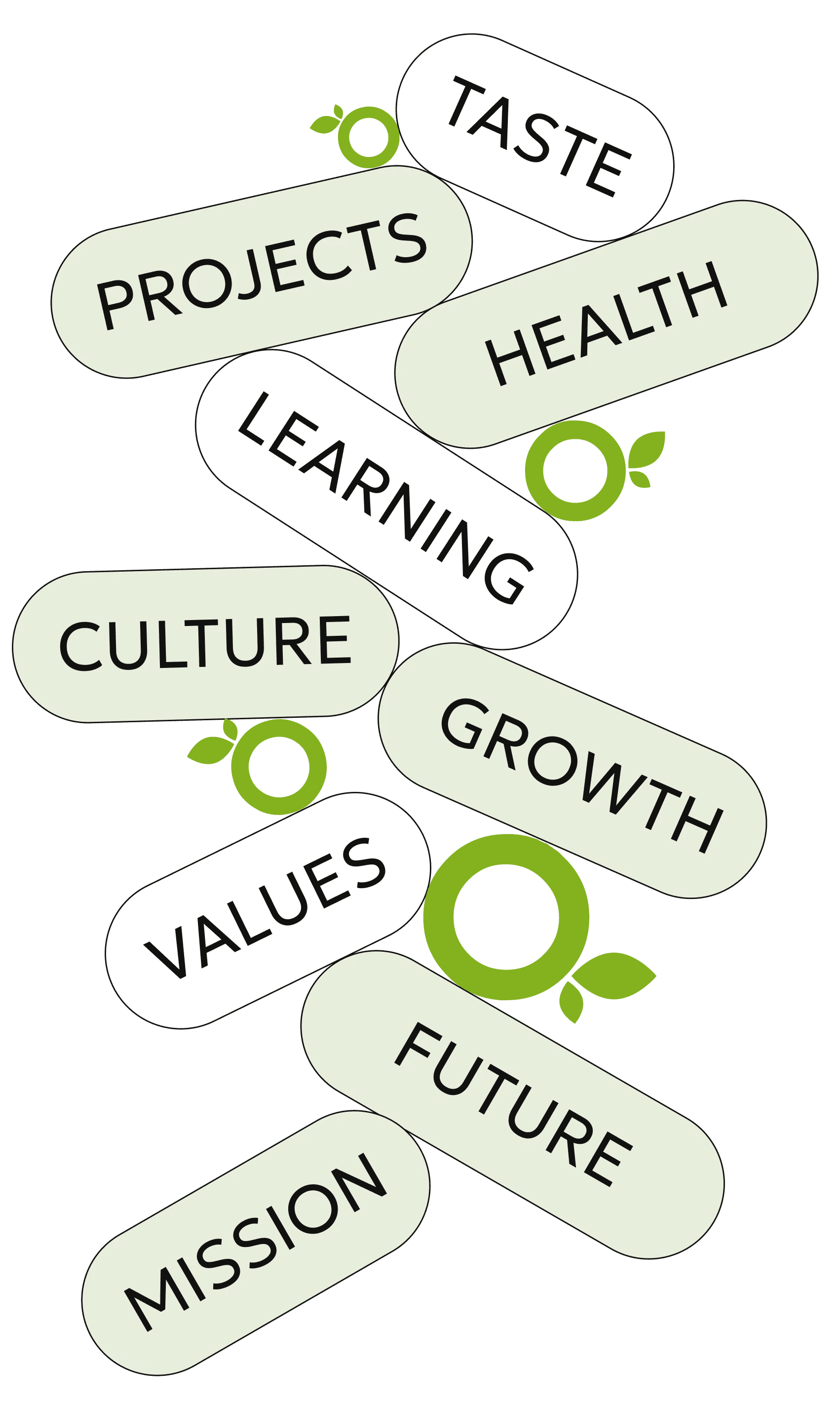 Taste, projects, health, learning, culture, growth, values, future, mission